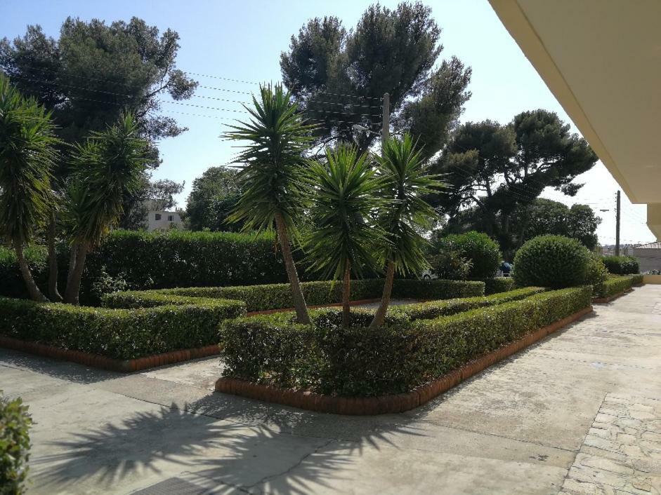 Appartement 2 Pieces Avec Balcon Toulon Eksteriør billede